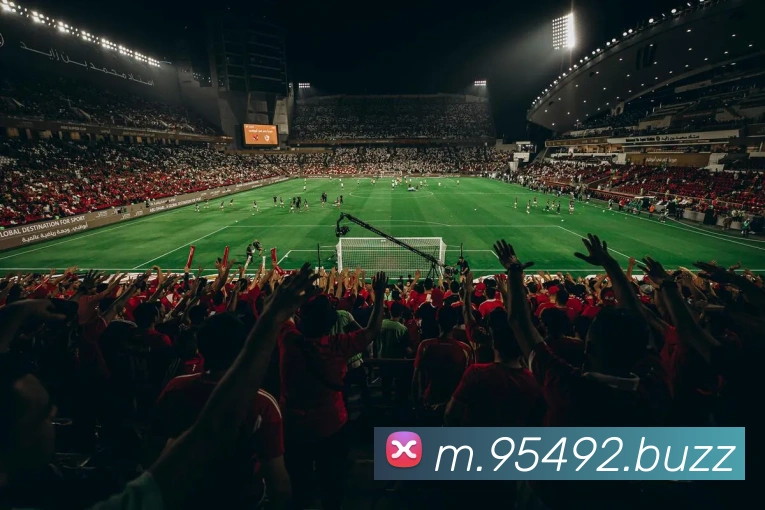 未来规划